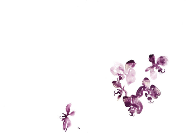 Orquídeas Púrpura. Venta online de acuarelas originales