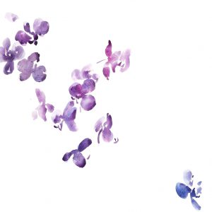 Abundante rama de orquídea. Venta online de acuarelas originales