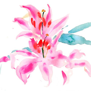 Lilium rosa. Venta online de acuarelas originales