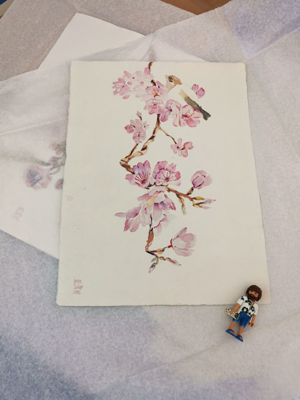 Sakura y gorrión. Venta online de acuarelas originales